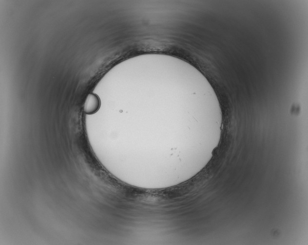 X0000113740743200910211124