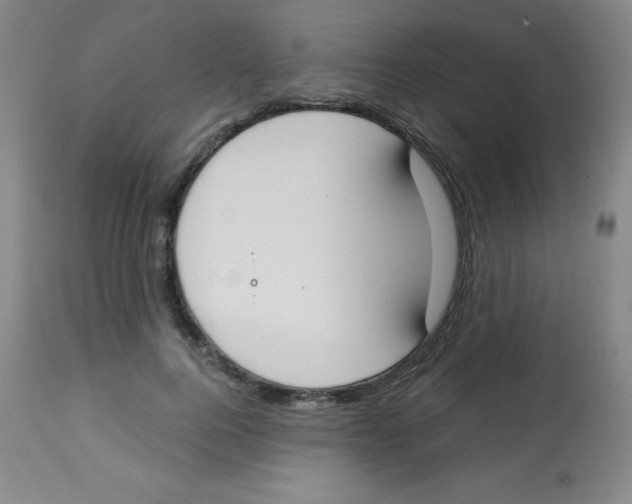X0000113740744200910211124