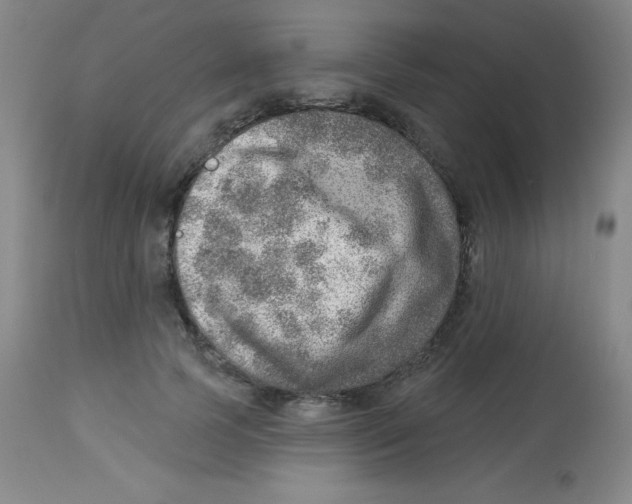X0000113740745200910211124