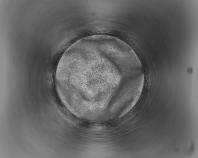 X0000113740746200910211124