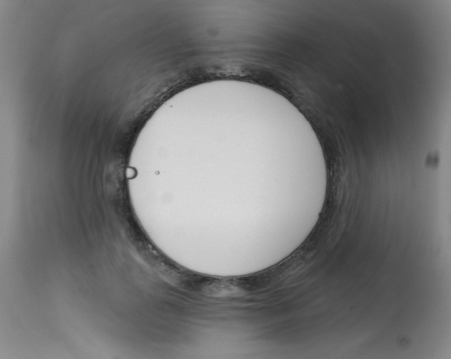 X0000113740747200910211124