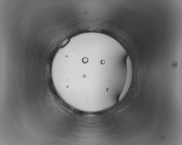 X0000113740748200910211124