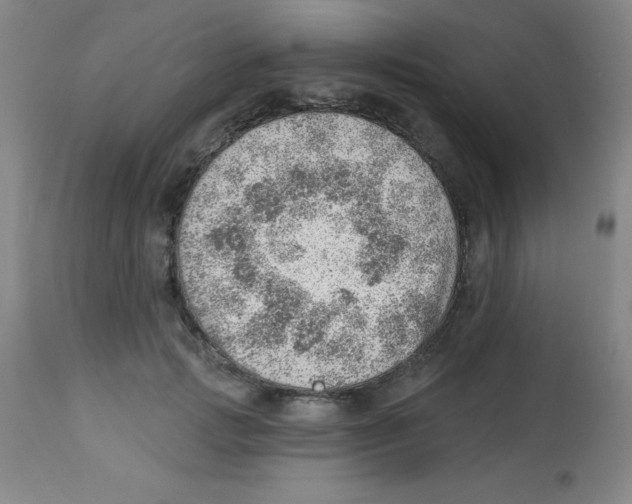 X0000113740749200910211124
