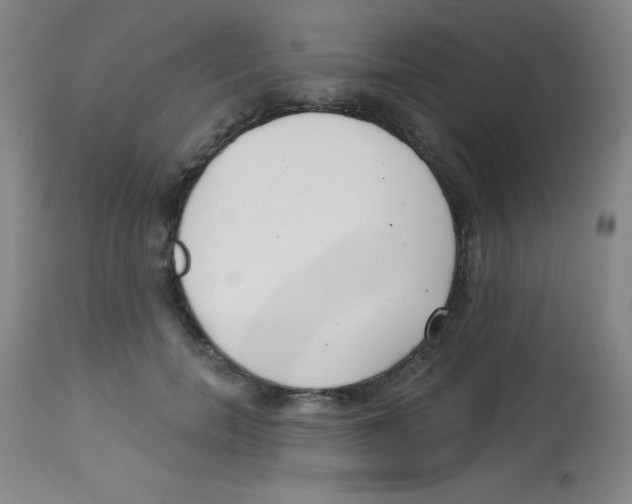 X0000113740750200910211124