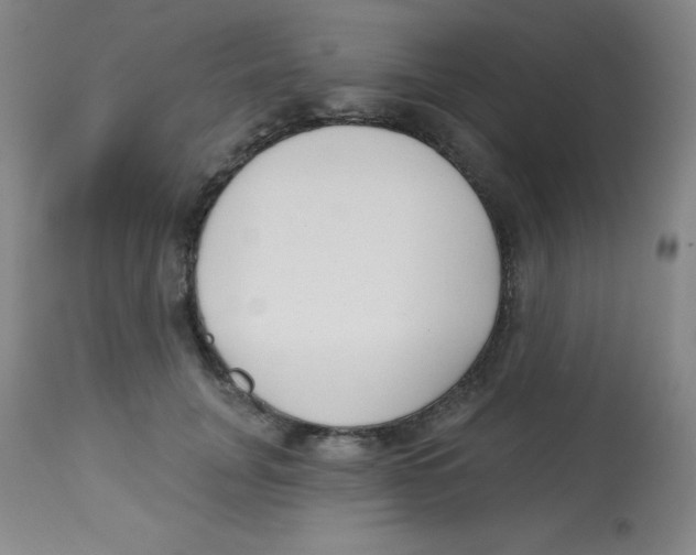 X0000113740751200910211124