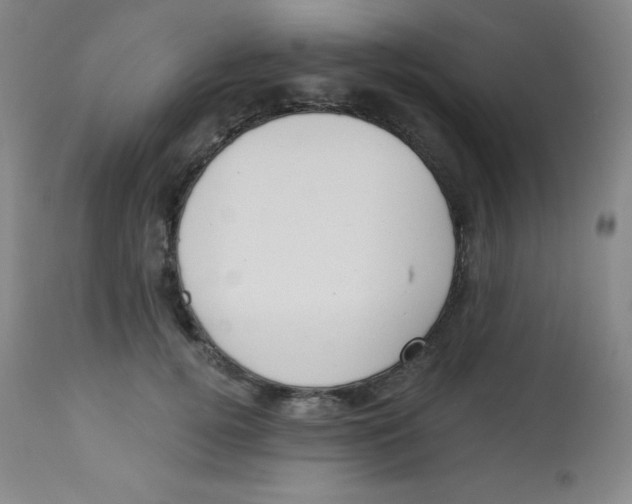 X0000113740752200910211124