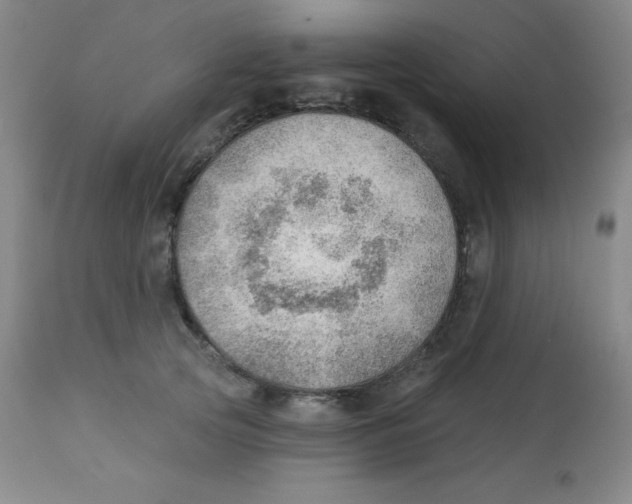 X0000113740753200910211124