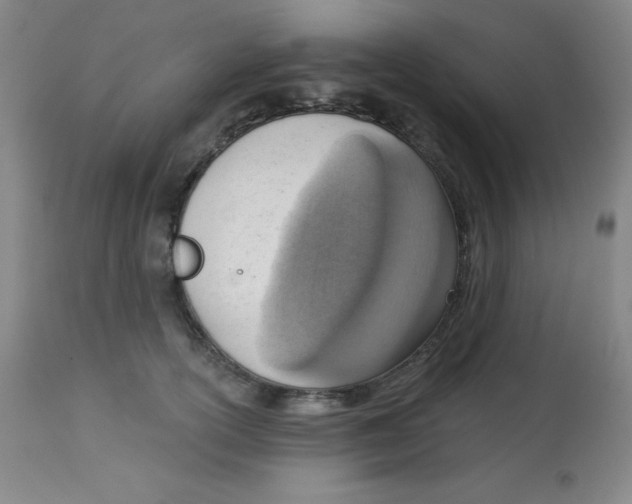 X0000113740754200910211124