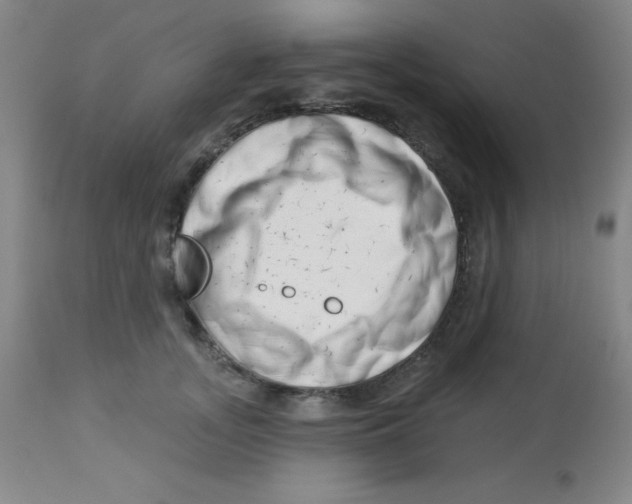 X0000113740755200910211124