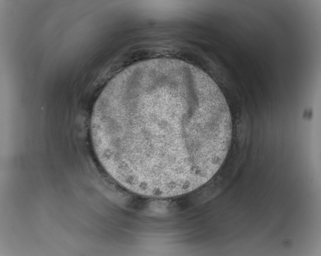 X0000113740757200910211124