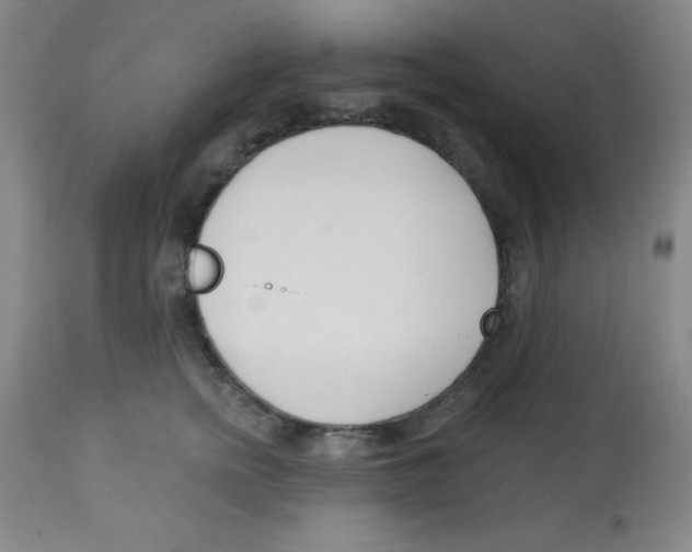 X0000113740758200910211124