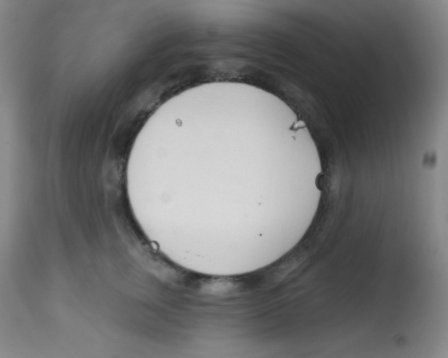 X0000113740759200910211124