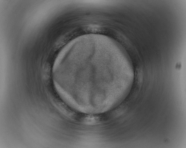 X0000113740760200910211124
