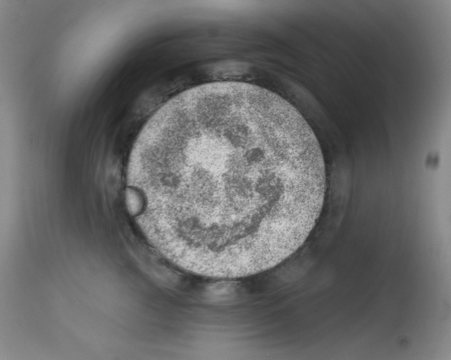 X0000113740761200910211124