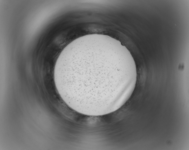 X0000113740762200910211124