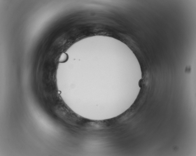 X0000113740763200910211124