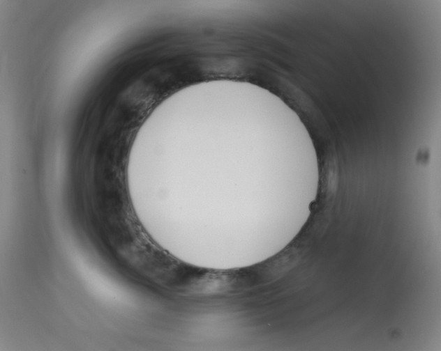 X0000113740764200910211124