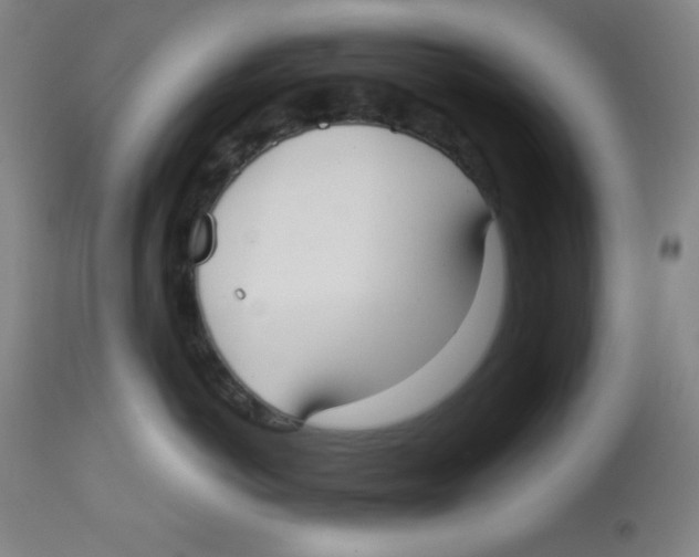X0000113740766200910211124