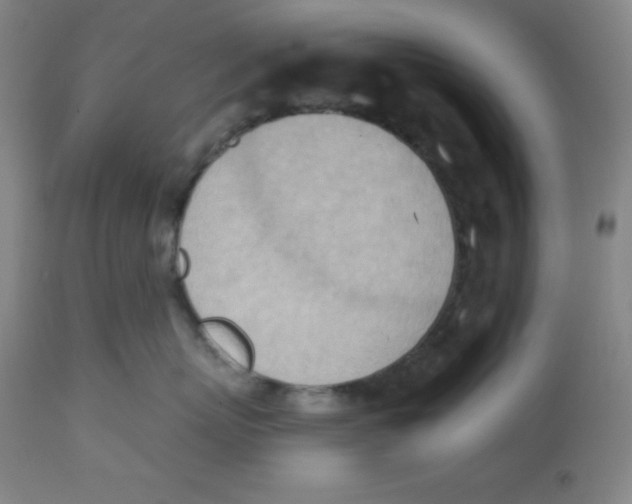 X0000113740767200910211124