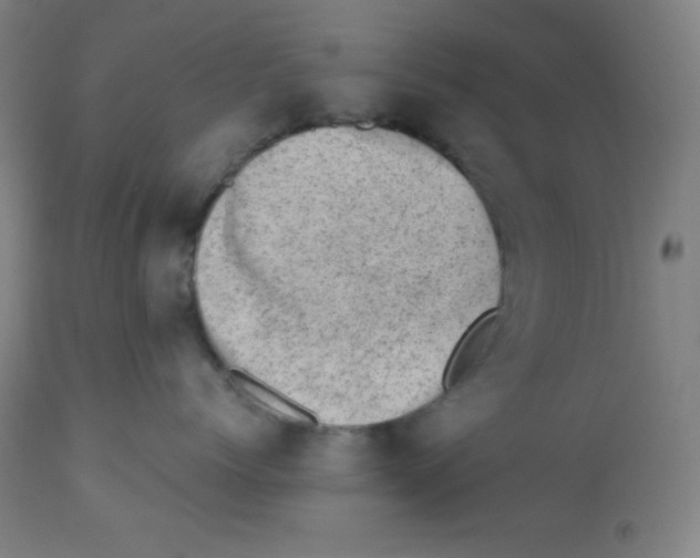 X0000113740768200910211124