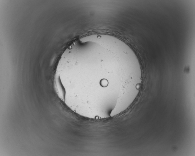 X0000113740769200910211124