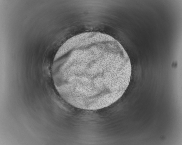 X0000113740770200910211124