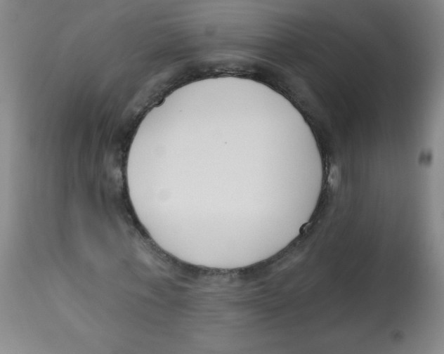 X0000113740771200910211124