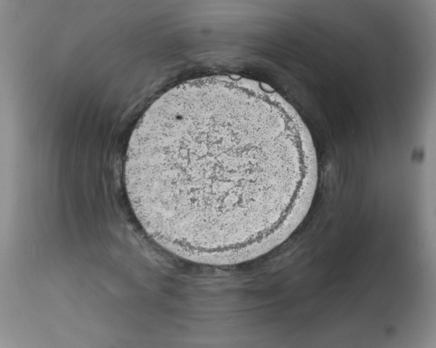 X0000113740772200910211124