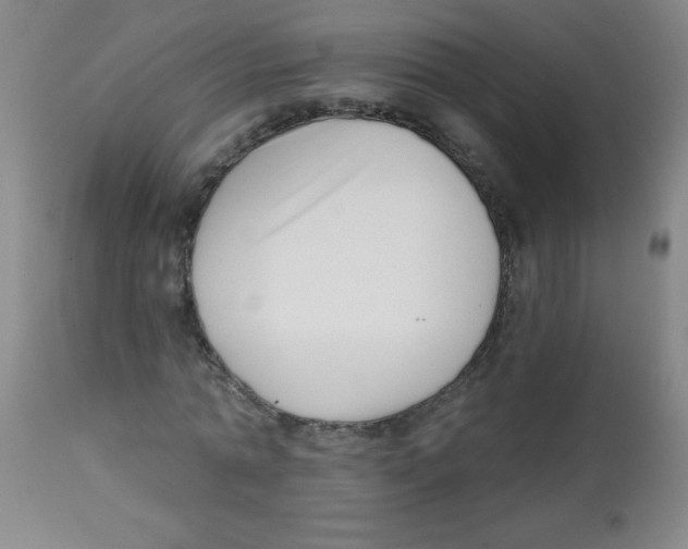 X0000113740774200910211124
