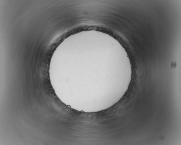 X0000113740775200910211124