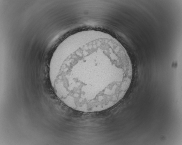 X0000113740776200910211124