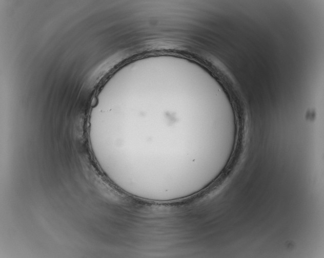 X0000113740777200910211124