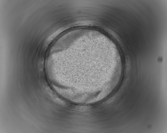 X0000113740778200910211123