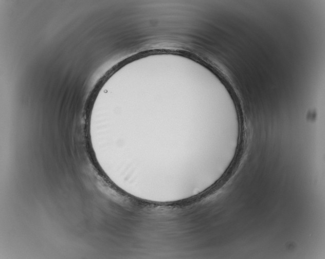 X0000113740779200910211123
