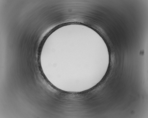 X0000113740780200910211123