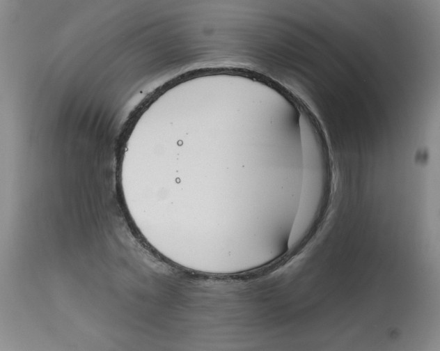 X0000113740781200910211123