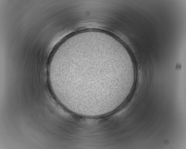 X0000113740782200910211123