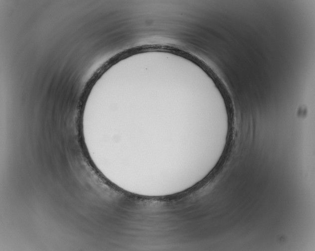 X0000113740783200910211123