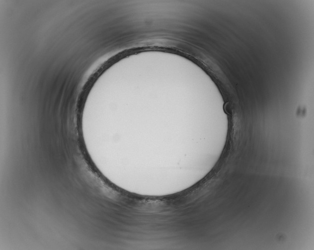 X0000113740784200910211123