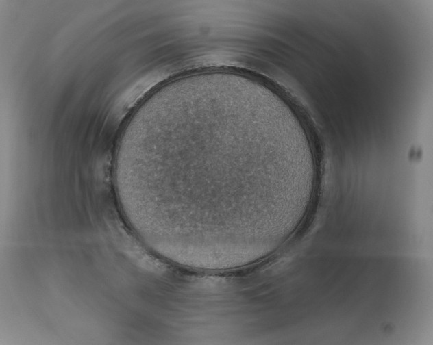 X0000113740785200910211123