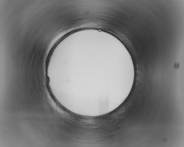 X0000113740792200910211123