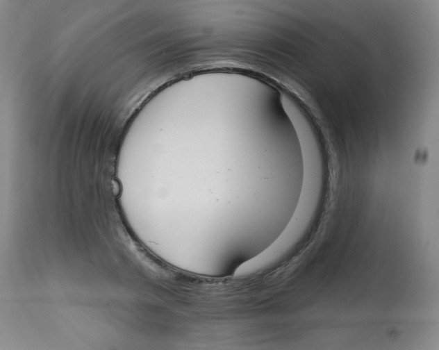 X0000113740793200910211123