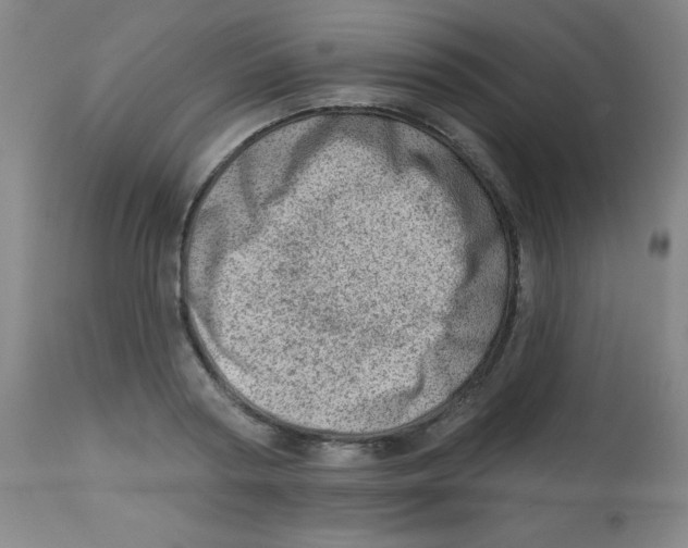 X0000113740794200910211123