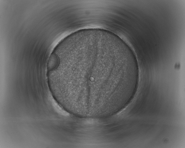 X0000113740797200910211123