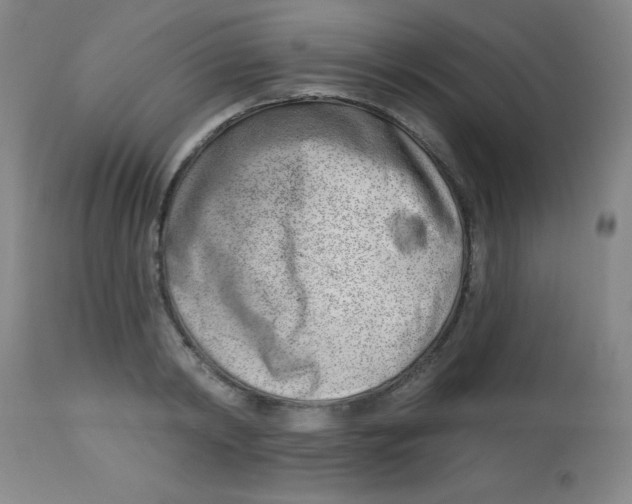 X0000113740798200910211123