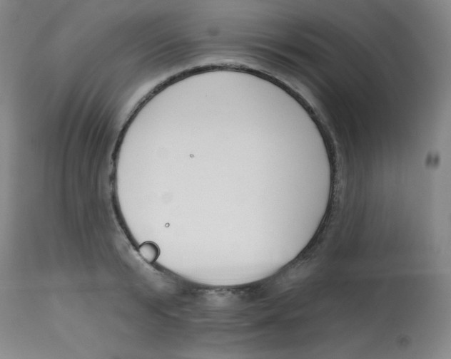 X0000113740799200910211123