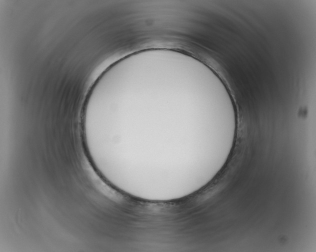 X0000113740803200910211123