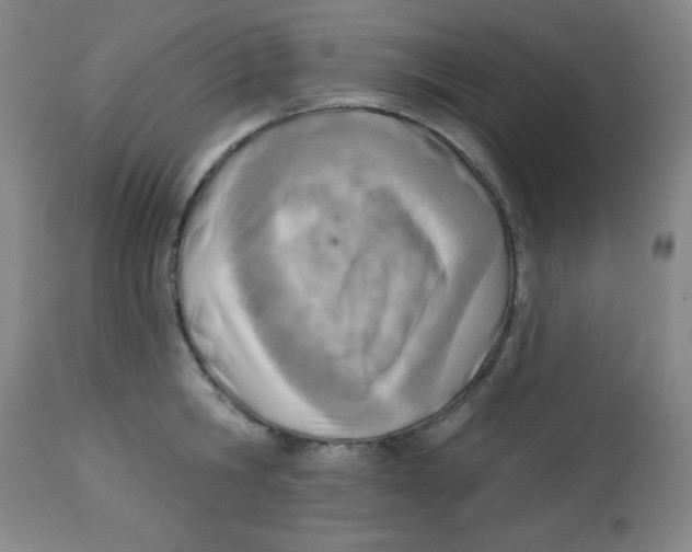 X0000113740806200910211123