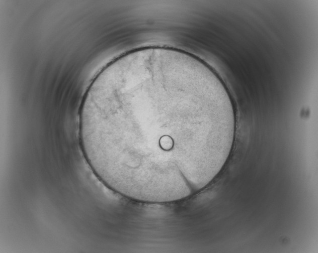 X0000113740807200910211123