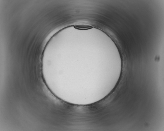 X0000113740808200910211123